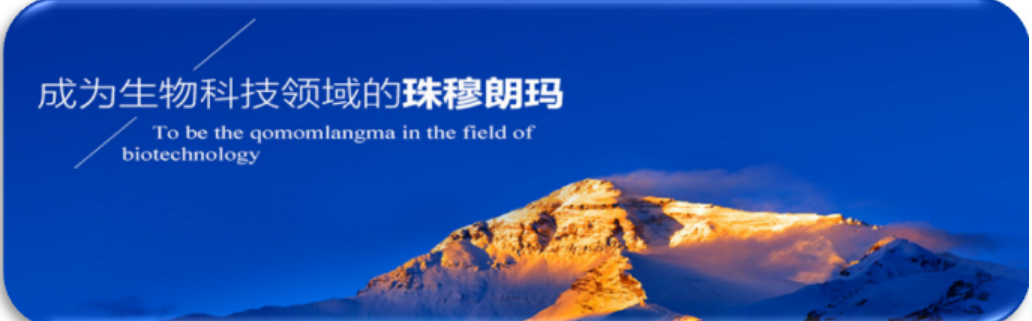 QQ图片20180705094842.png